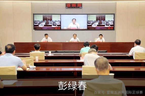 了解彭绿春